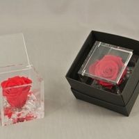 Confezione bomboniere - 2