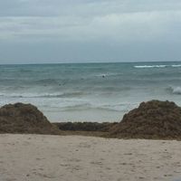 Situazione alghe in Messico - 1