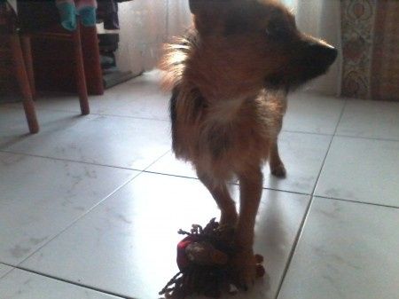 un'amore a 4 zampe.. :)