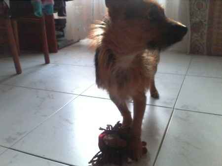 un'amore a 4 zampe.. :)