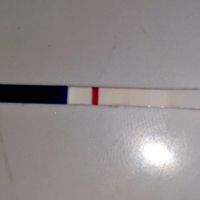 Mai più test precoci! - 1