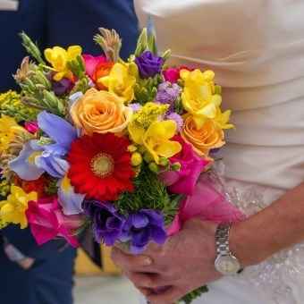 moltitudine di fiori e colori