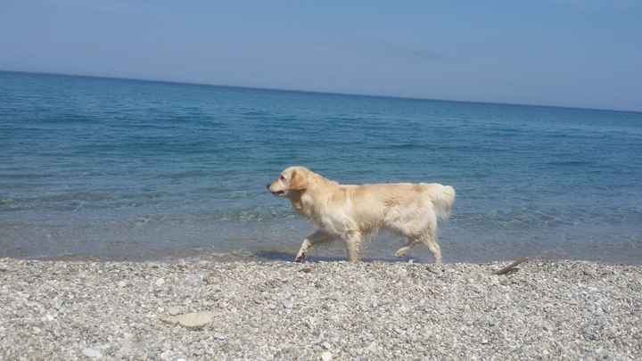 .................................