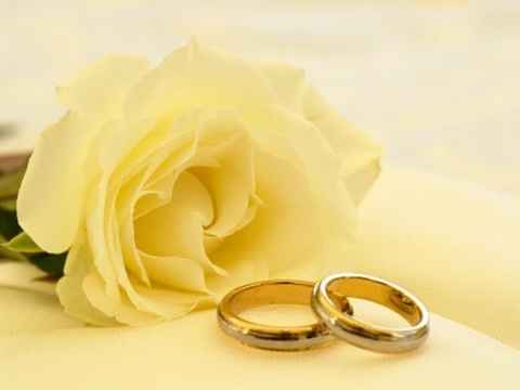 ...........................