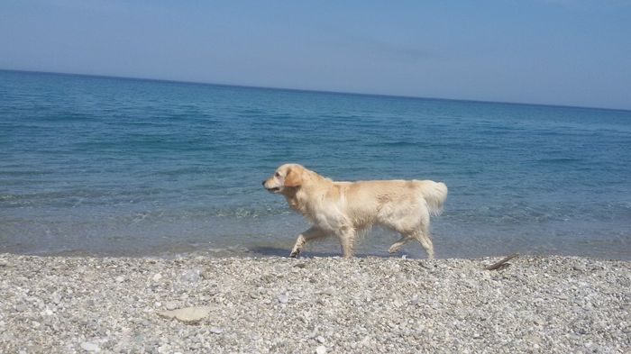 .................................