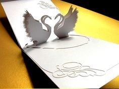 partecipazione cigni