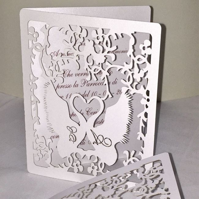 partecipazione cigni