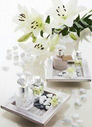 Profumatori claraluna - 1