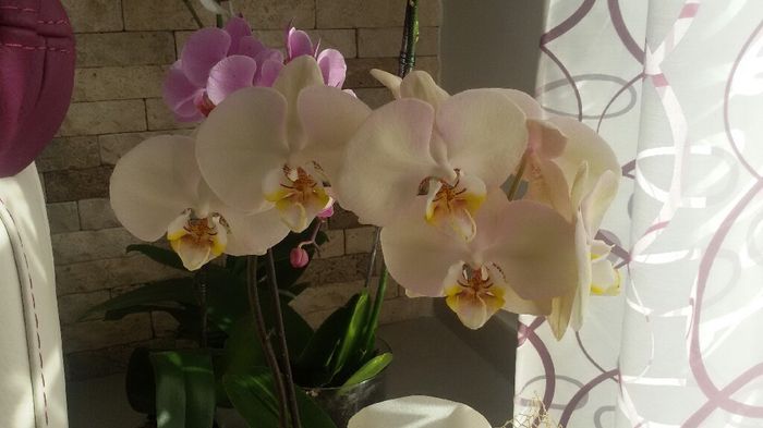 Entratina ...moderna? - 1