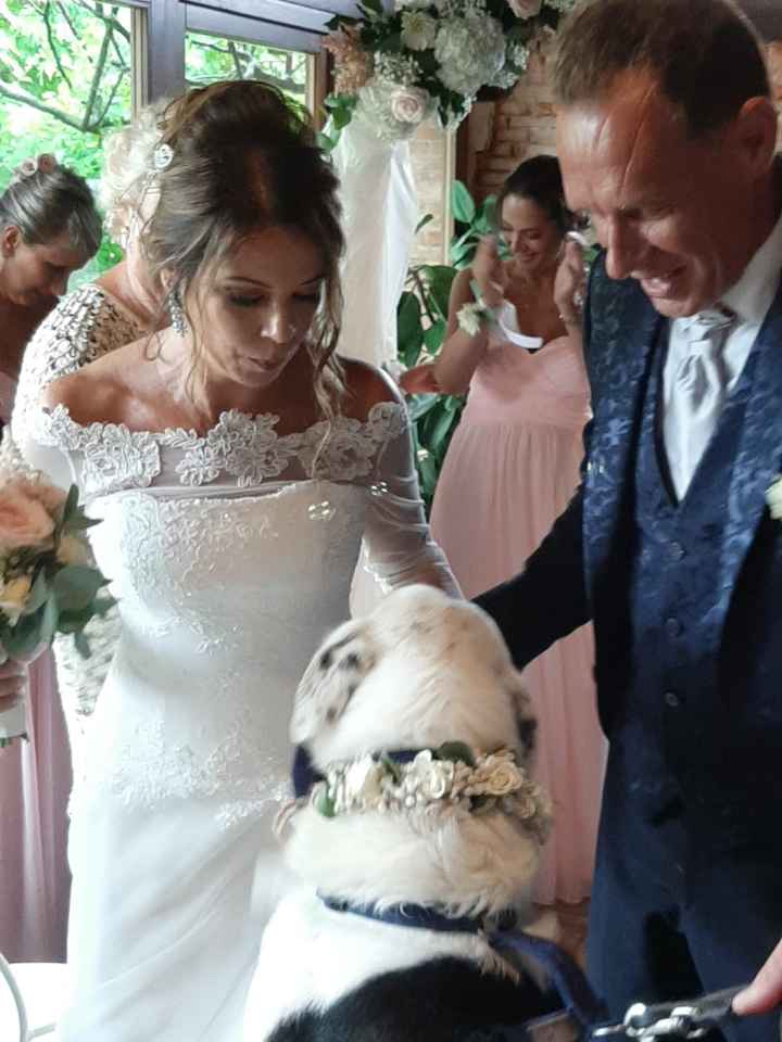 Il mio amico a 4 zampe ha ritirato il suo abito - 1