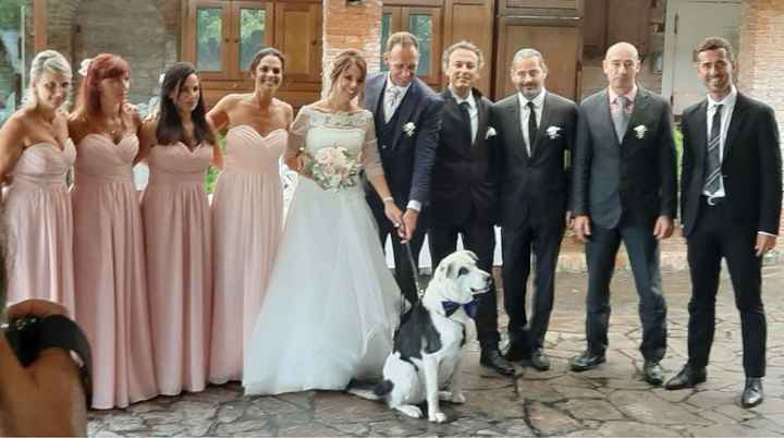 Il mio amico a 4 zampe ha ritirato il suo abito - 5
