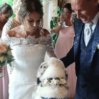 Il mio amico a 4 zampe ha ritirato il suo abito - 1