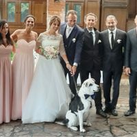 Il mio amico a 4 zampe ha ritirato il suo abito - 5