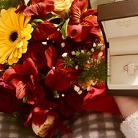 Come è avvenuta la proposta? - 1