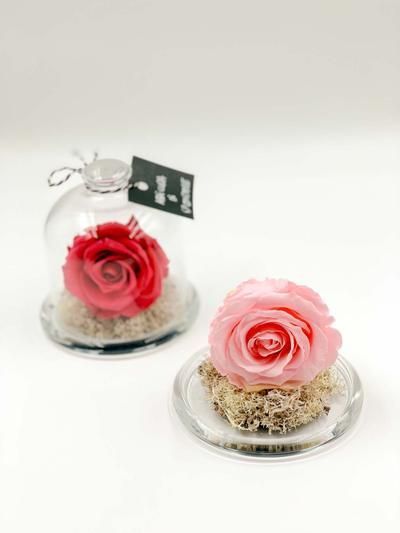 Bomboniera tema disney?! 7