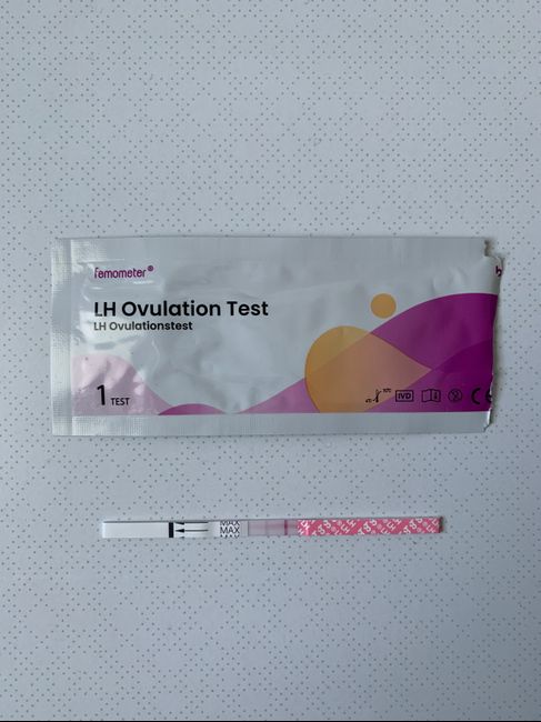 Chi non le aspetta per Dicembre 2021 🤶 🎅 🎄 3