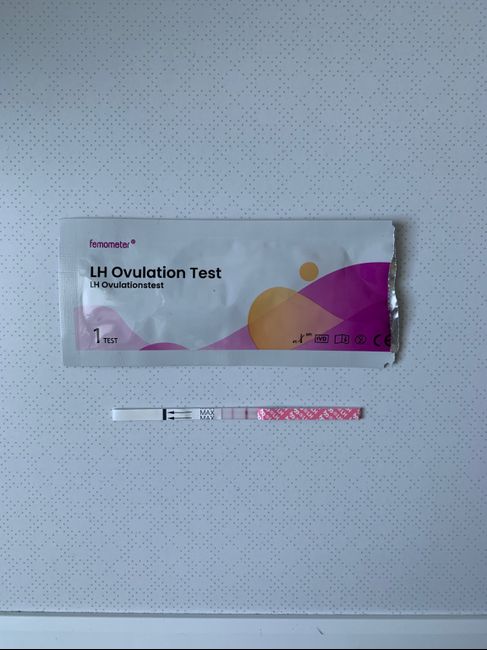 Chi non le aspetta per Dicembre 2021 🤶 🎅 🎄 1