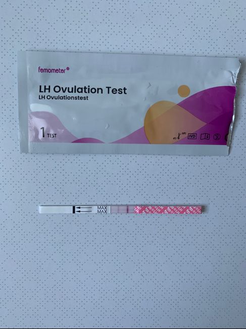 Chi non le aspetta per Dicembre 2021 🤶 🎅 🎄 1