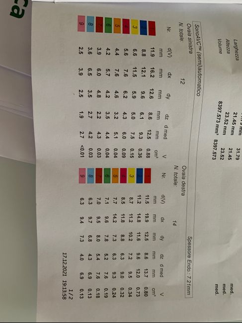 Chi non le aspetta per Dicembre 2021 🤶 🎅 🎄 - 1