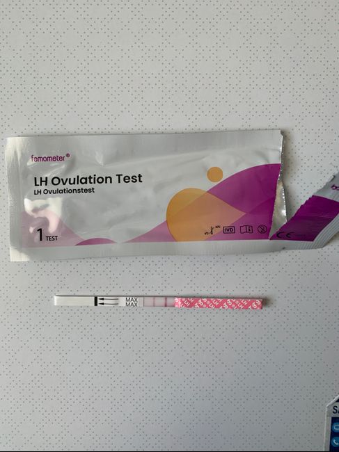 Chi non le aspetta per Dicembre 2021 🤶 🎅 🎄 1