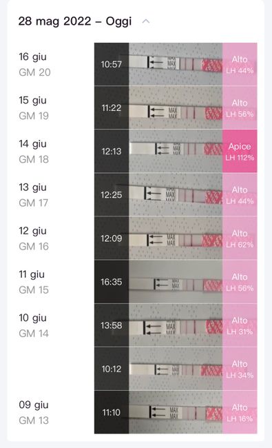 Chi non le aspetta per Giugno 2022 🌻🤰🏻♥️ - 1