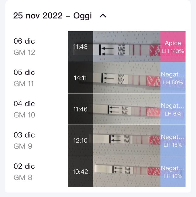 Chi non le aspetta per dicembre 2022 🤶🤶🤶 2