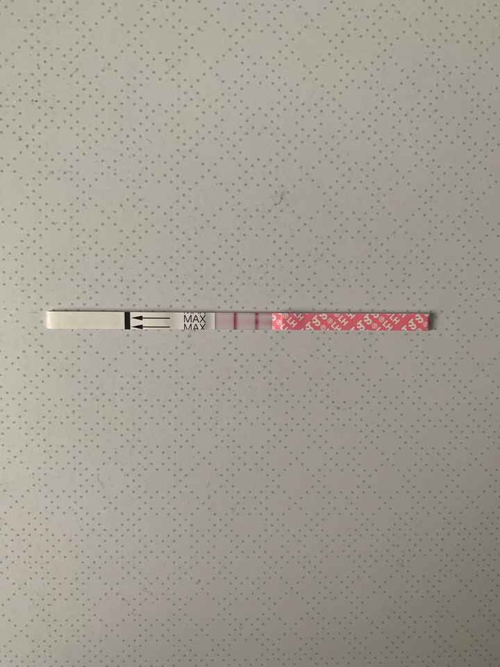 Chi non le aspetta per Febbraio 2022 🤩🤞🍀❤️ - 1