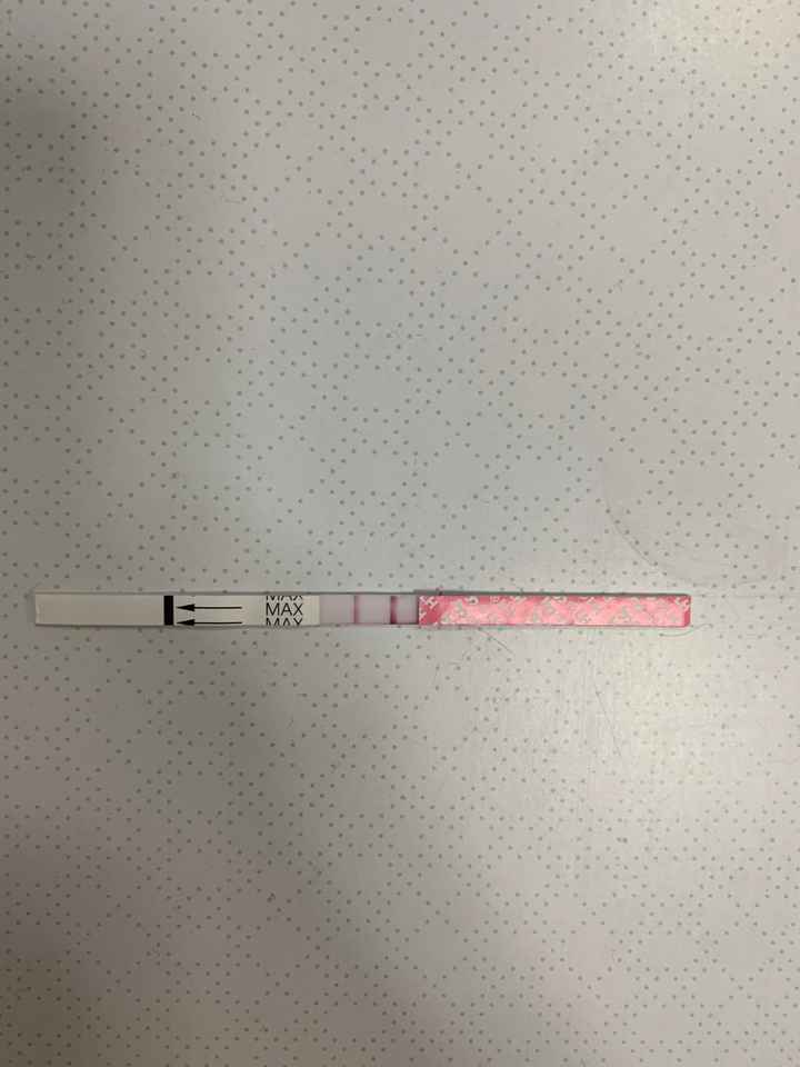 Chi non le aspetta per Febbraio 2022 🤩🤞🍀❤️ - 1