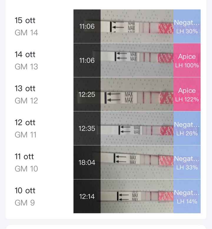 Chi non le aspetta per Ottobre 2022 🍁🧡🌤 - 1
