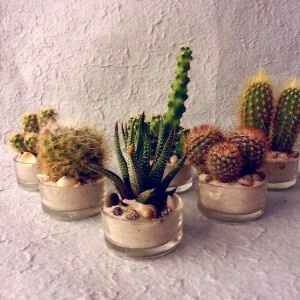 Segna posto originale - 2