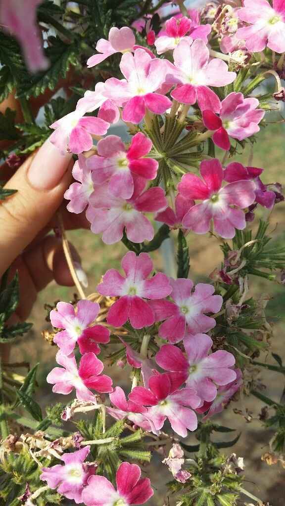 Riciclo creativo e stile shabby chic - 14