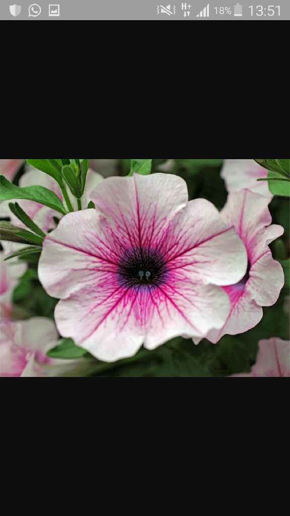 Riciclo creativo e stile shabby chic - 15