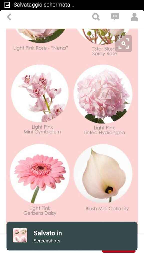 Colori bianco e rosa chiaro - 41