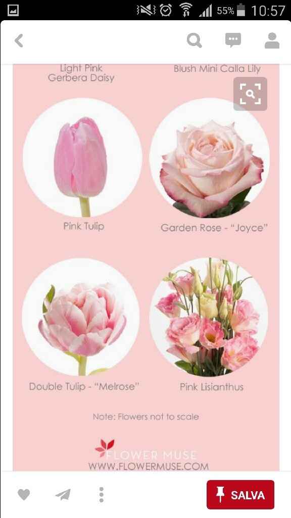 Colori bianco e rosa chiaro - 42