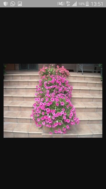 Aiuto! consiglio abbinamento fiori - 5