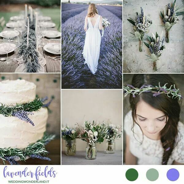 Nuove idee per tema e colori - 4