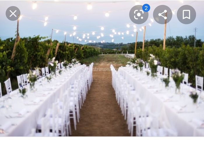 Ricevimento in vigna - 1