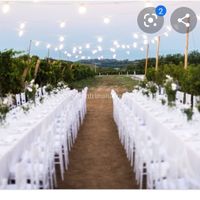 Ricevimento in vigna - 1