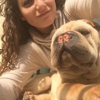 E i nostri amici a 4 zampe ??? - 1