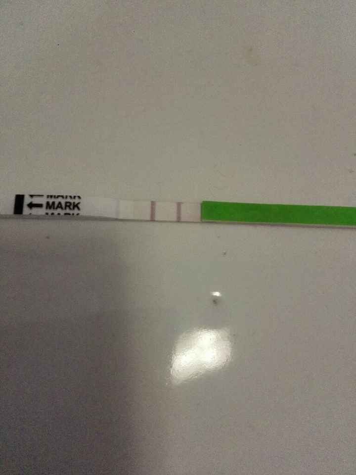 Ovulazione dopo aborto spontaneo - 1