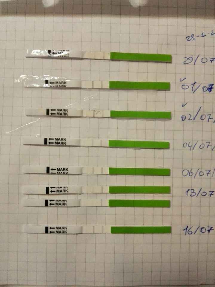 Test ovulazione positivo test gravidanza bianchissimo - 1