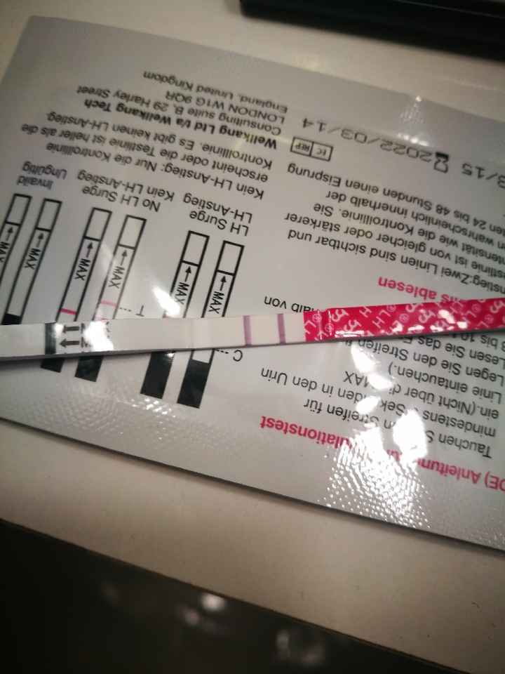 Chi non le aspetta per novembre 2019 - 1