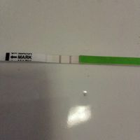 Ovulazione dopo aborto spontaneo - 1