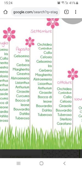Per chi si sposa a settembre..... quali sono i fiori più indicati per il bouquet? 2
