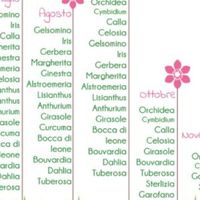Per chi si sposa a settembre..... quali sono i fiori più indicati per il bouquet? - 1