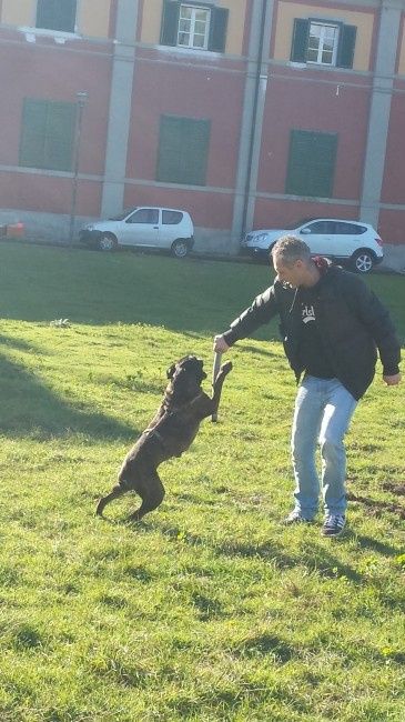 Too cute: i vostri amici animali - 2