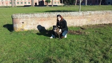 Too cute: i vostri amici animali - 4