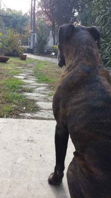 Amarlo perchè li ama! - 3