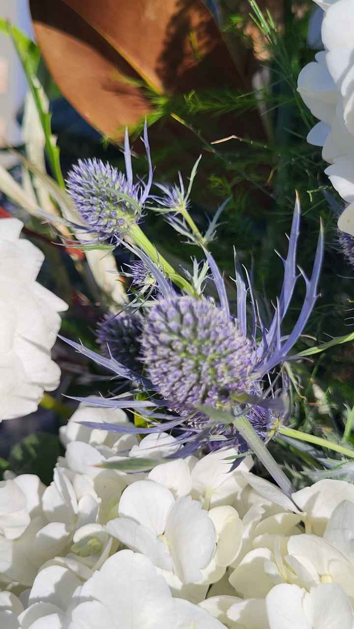 Fiori inizio ottobre - 3