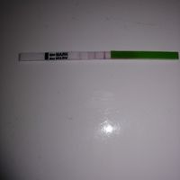 32 Pm e test canadese - 1